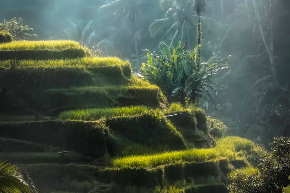 Bali 4 day honeymoon itinerary