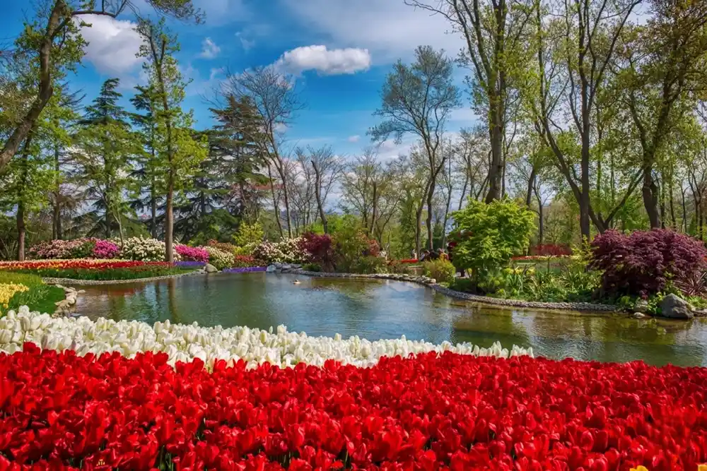 tulip festival istanbul 