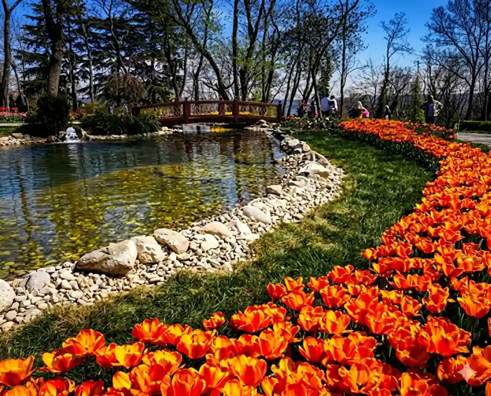 tulip festival istanbul 