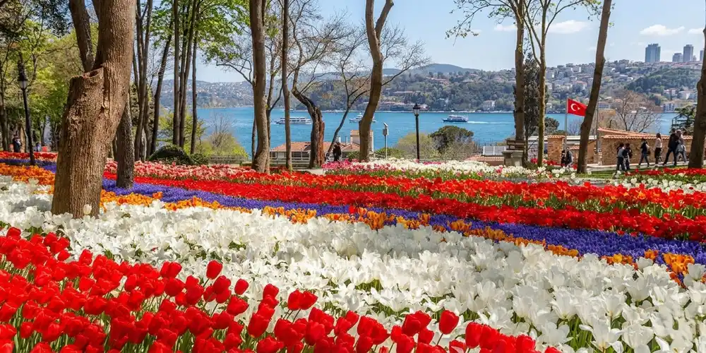 tulip festival istanbul 