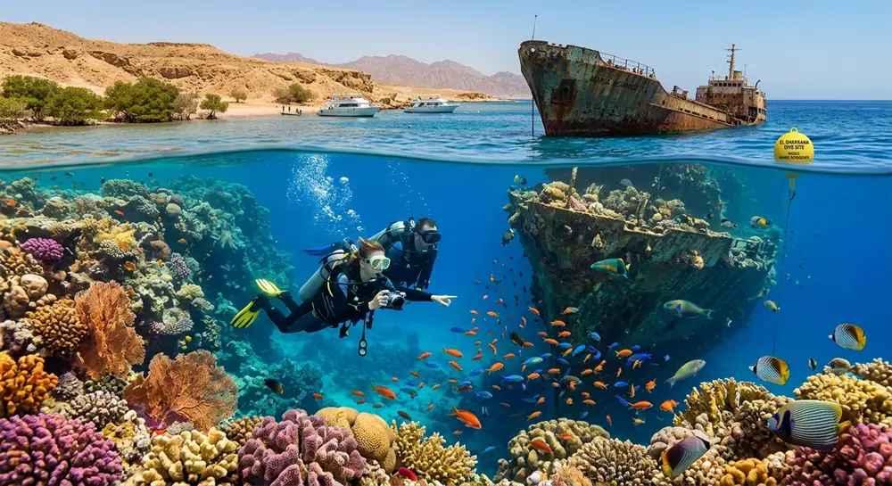 for snorkeling sharm el sheikh