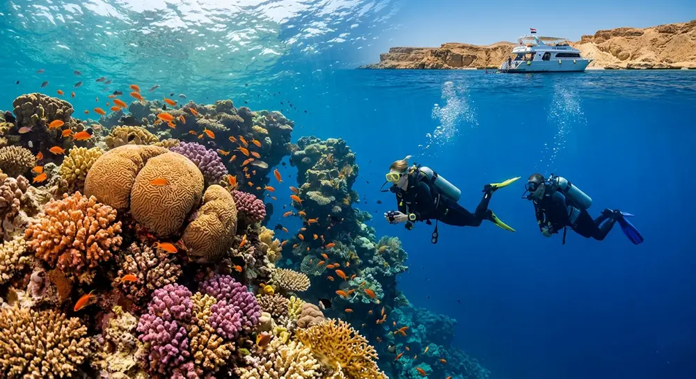 snorkeling sharm el sheikh