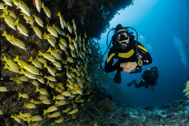 snorkeling sharm el sheikh